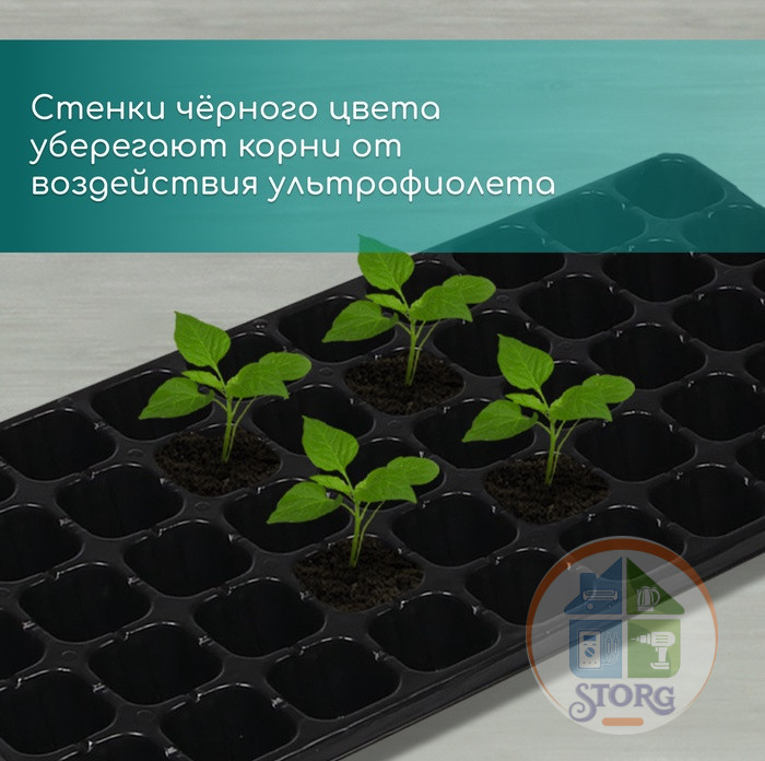 Кассета для рассады, 50 ячеек по 75 мл, пластик, чёрная, 56х29.5х4 см, Greengo