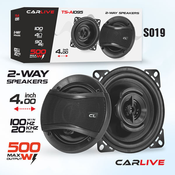 Автомобильные Динамики Carlive TS-A1095 (4)" max 500w