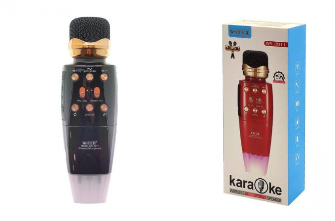 Микрофон беспроводной WSTER WS-2011, черный, Bluetooth, динамики 5Вт, USB