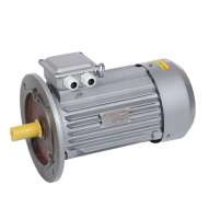 Двигатель S&K Т600/100 (3,0кВт) Алюм.