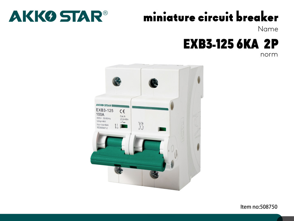 Автоматический выключатель двухполюсный AKKOSTAR EXB3-125 6KA 2P C100A