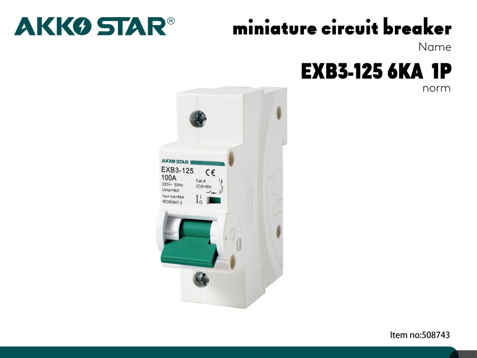 Автоматический выключатель однополюсный AKKOSTAR EXB3-125 6KA 1P C100A