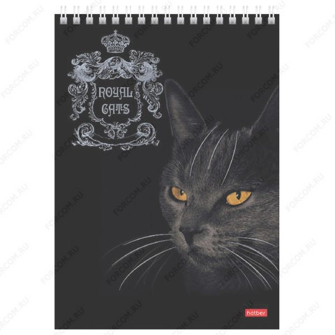 Блокнот ХАТБЕР А5 "ROYAL CATS", 80 л., клетка, мат,ламин, гребень (066435) (80Б5лофВ1гр)(4/56)