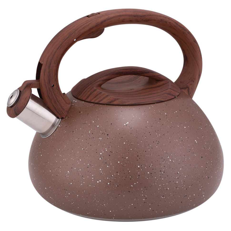 Чайник металлический со свистком ALPENKOK AK-536, 3л, индукц.дно, нержавеющая сталь