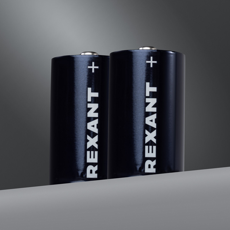 Элемент питания REXANT D/LR20/2BL, 1,5В, алкалиновая