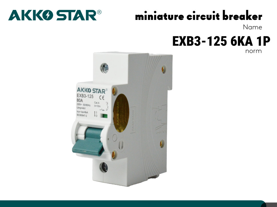Автоматический выключатель AKKOSTAR однополюсный EXB3-125 6KA 1P C80A