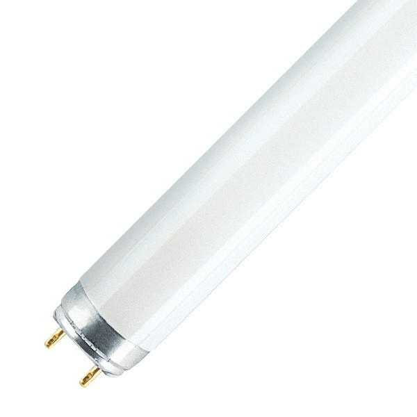 Лампа люминесцентная WATO T8 36W