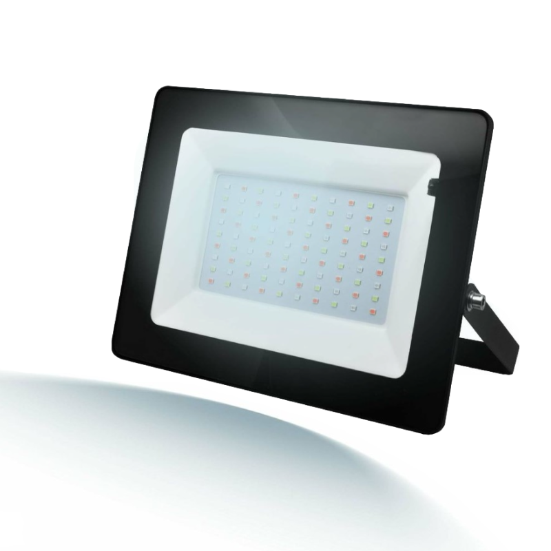 Прожектор светодиодный Ritter RGB, 100Вт, IP65, с пультом ДУ Прожектор светодиодный Ritter RGB, 100Вт, IP65, с пультом ДУ