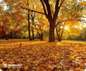 Коврик для мыши DEFENDER Silk Pad Nature 230x190x1.6мм