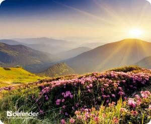 Коврик для мыши DEFENDER Silk Pad Nature 230x190x1.6мм