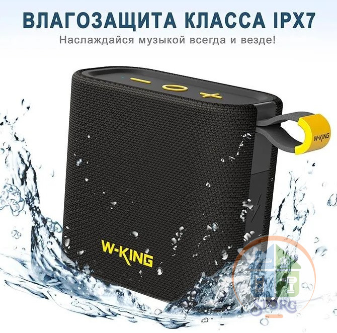 Портативная колонка W-King D2 (черный) 6W BT, FM