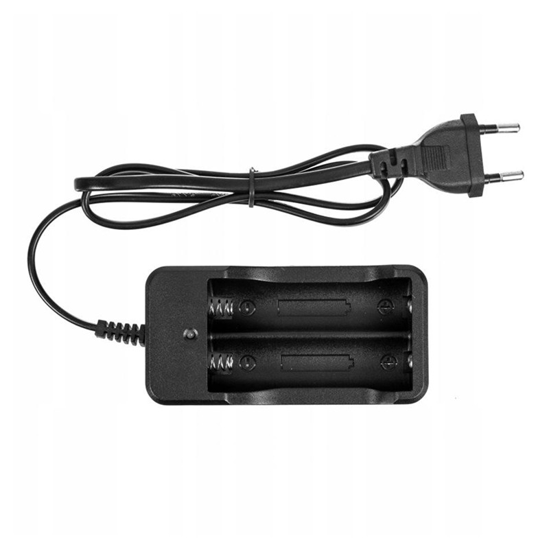 Быстрое зарядное устройство SD-8992/ZJ-3009 18650 2 слота EU Plug