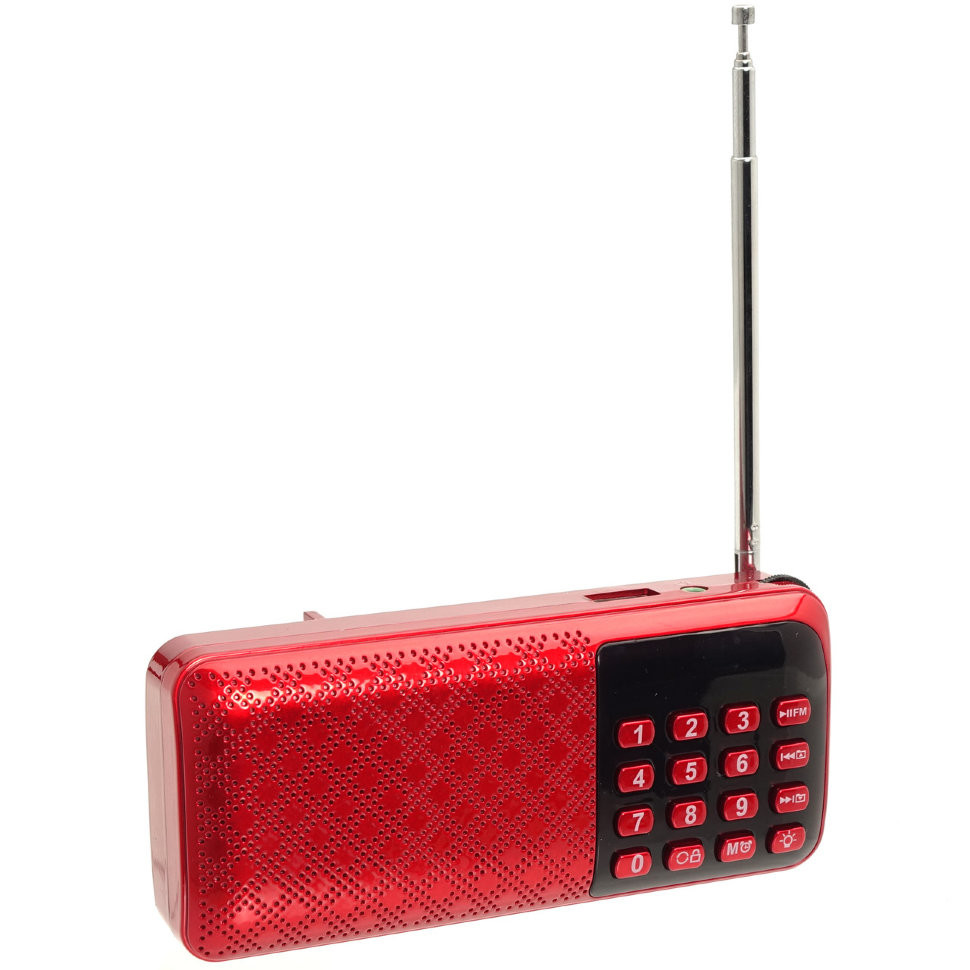 Колонка Mp3 Newmine F58 ( Micro SD/USB/AUX/FM в формате MP3, акб 18650 3.7V (x2) 2000mAh )