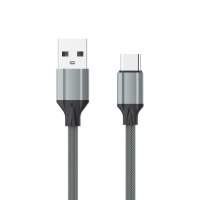 Type-C
